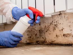 Biohazard Mold Removal in Rouse, CA